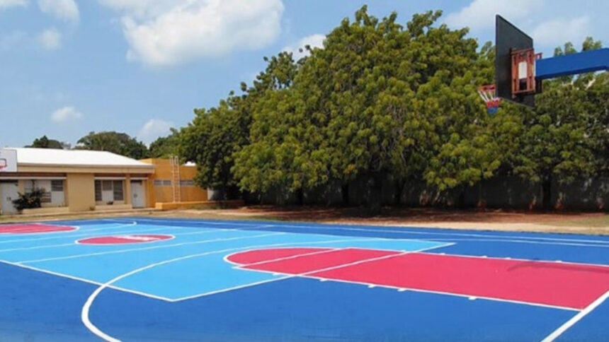 Inefi anuncia remozamiento de canchas en SDE