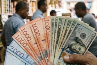 Las remesas a República Dominicana crecieron un 6.5 % hasta agosto de 2026