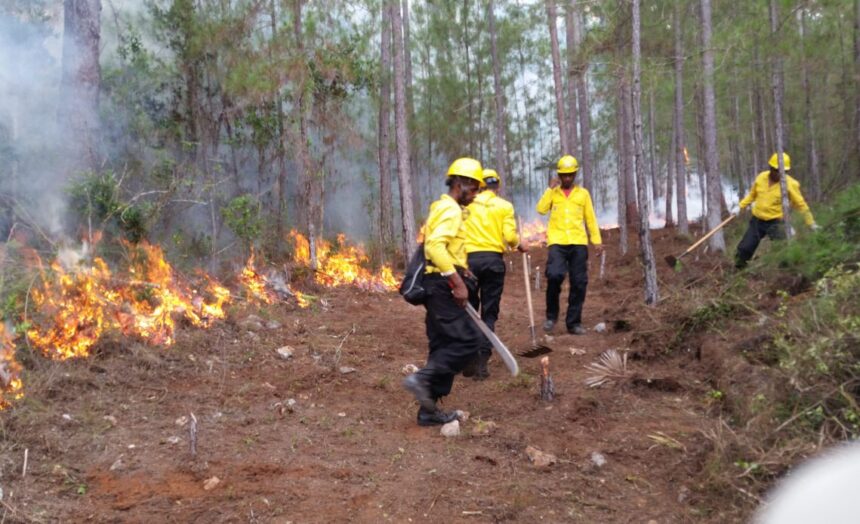 Gobierno declara de alto interés nacional el combate al terrorismo ambiental