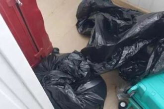Fuera de Serie : Le disparó, mutiló y pasó el cuerpo por una picadora: novio mata a empresaria y su hija en Rusia