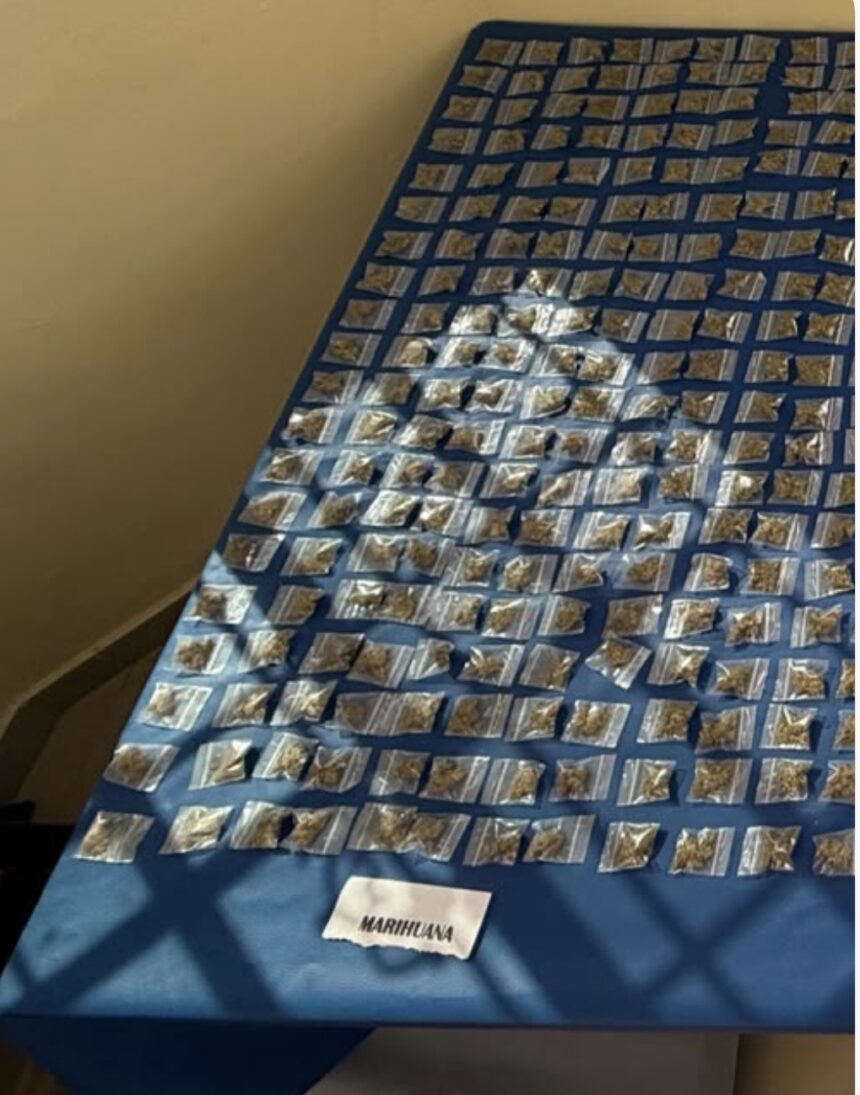 Allanamientos en Puerto Plata dejan tres detenidos y ocupación de drogas, armas y balanzas