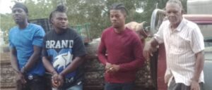 ¡Debajo de las naranjas! Ejército intercepta camioneta con tres haitianos en Dajabón