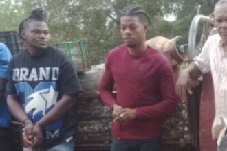 ¡Debajo de las naranjas! Ejército intercepta camioneta con tres haitianos en Dajabón