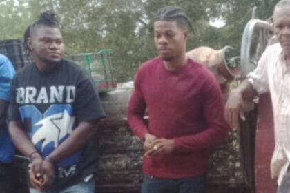 ¡Debajo de las naranjas! Ejército intercepta camioneta con tres haitianos en Dajabón