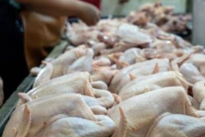Productores piden auxilio al Gobierno: pollo se vende barato en granja, pero llega caro al consumidor