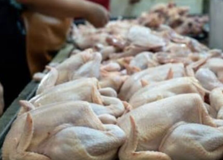 Productores piden auxilio al Gobierno: pollo se vende barato en granja, pero llega caro al consumidor